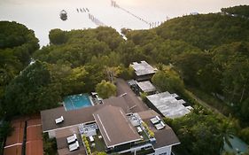 The Funny Lion - Coron